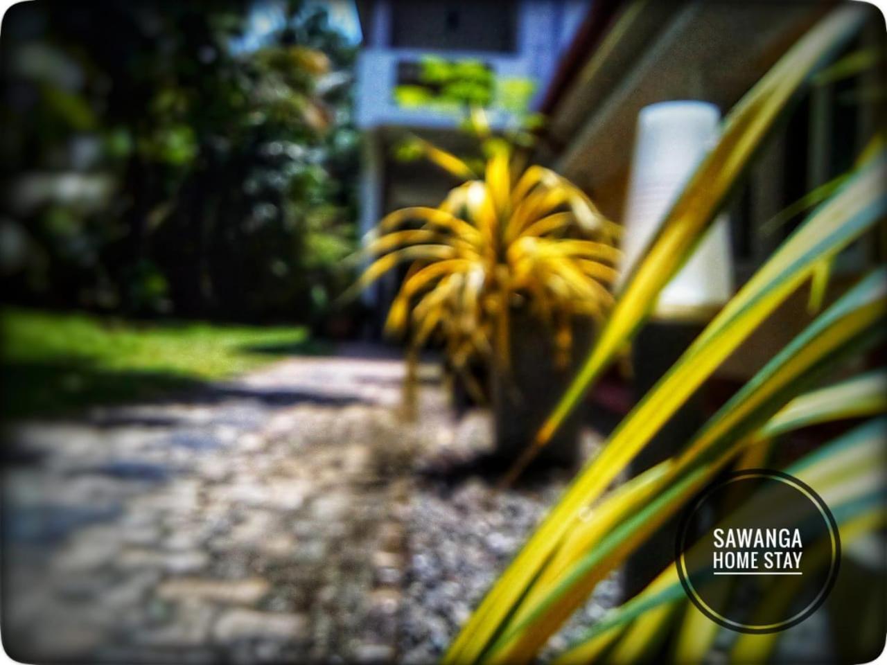 Sawanga Home Stay Weligama Ngoại thất bức ảnh