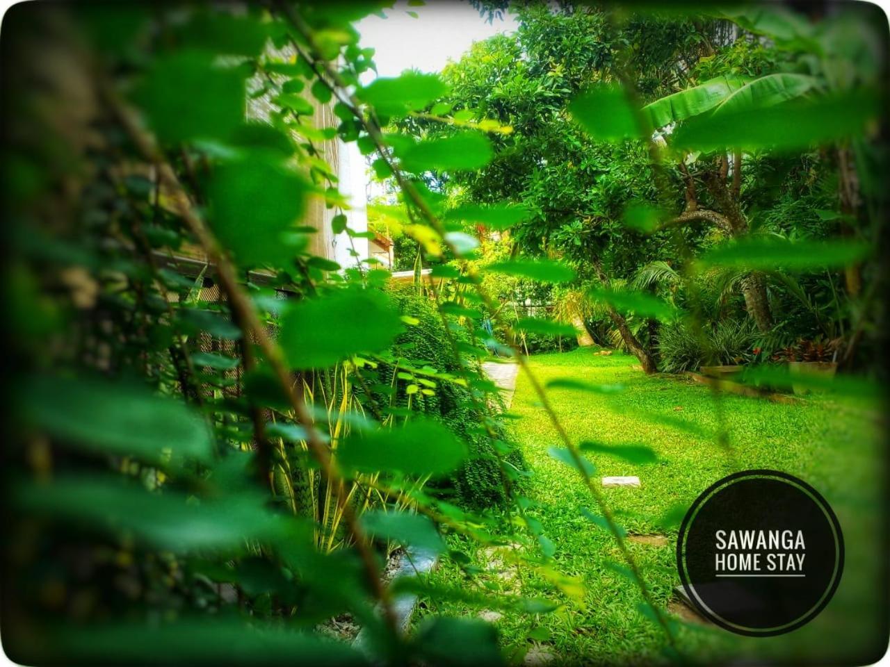 Sawanga Home Stay Weligama Ngoại thất bức ảnh