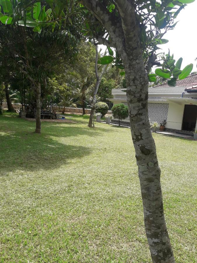 Sawanga Home Stay Weligama Ngoại thất bức ảnh